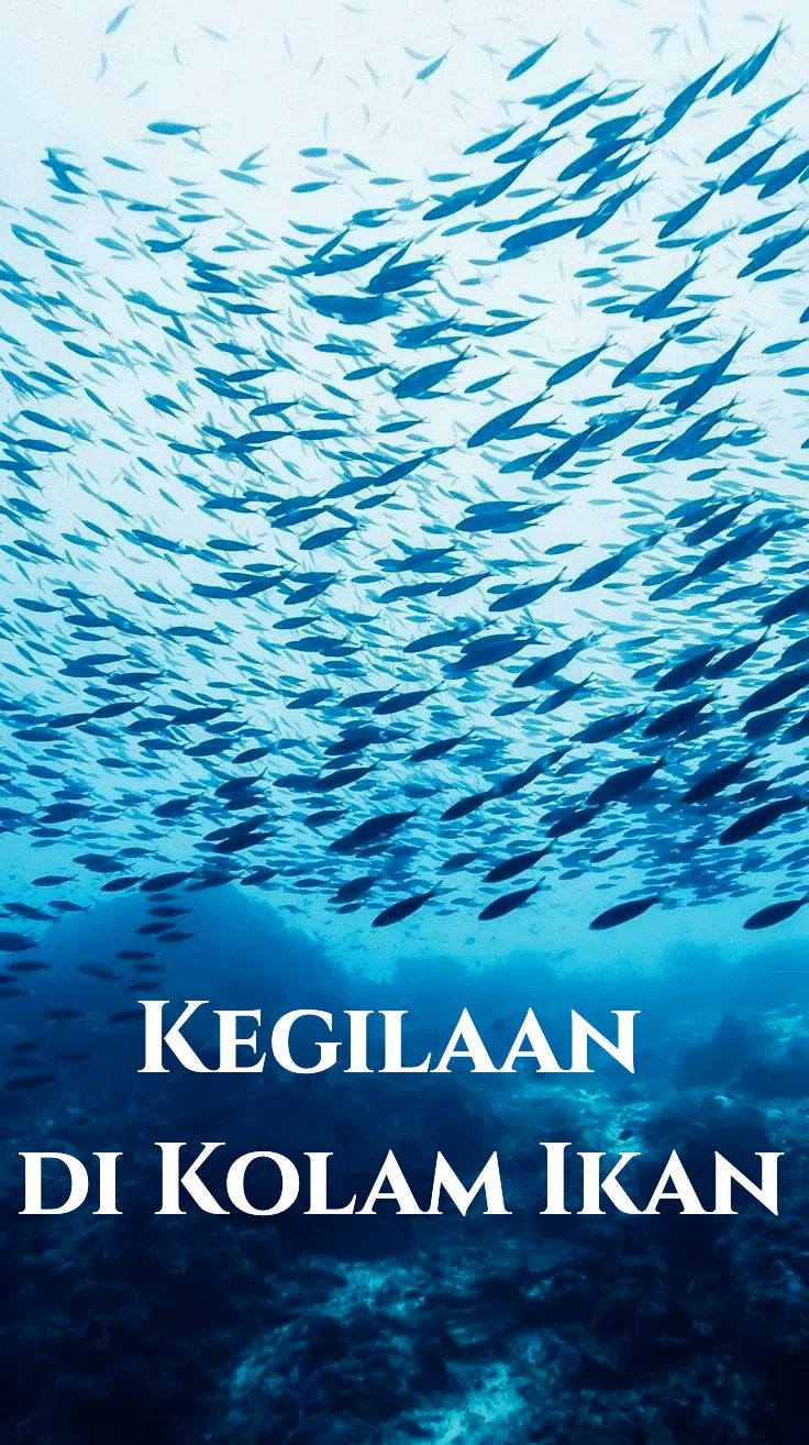 Kegilaan di Kolam Ikan