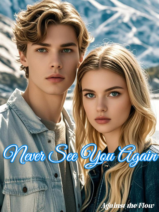 Never See You Again