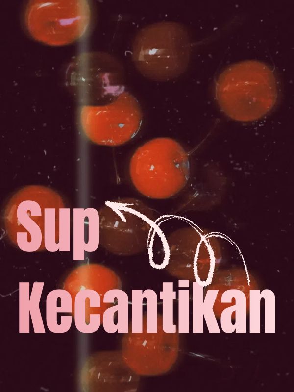 Sup Kecantikan