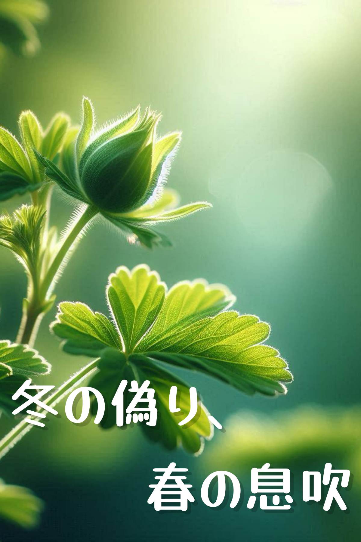 冬の偽り、春の息吹