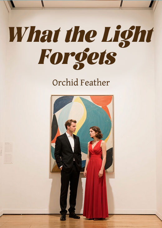 What the Light Forgets
