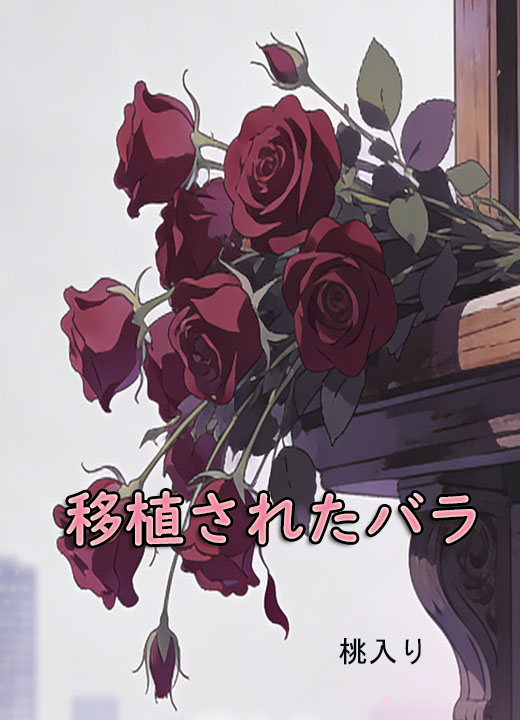 移植されたバラ