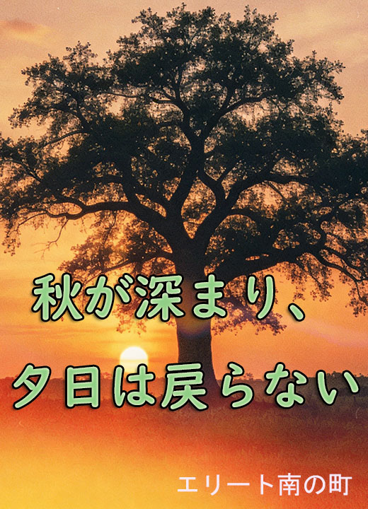 秋が深まり、夕日は戻らない