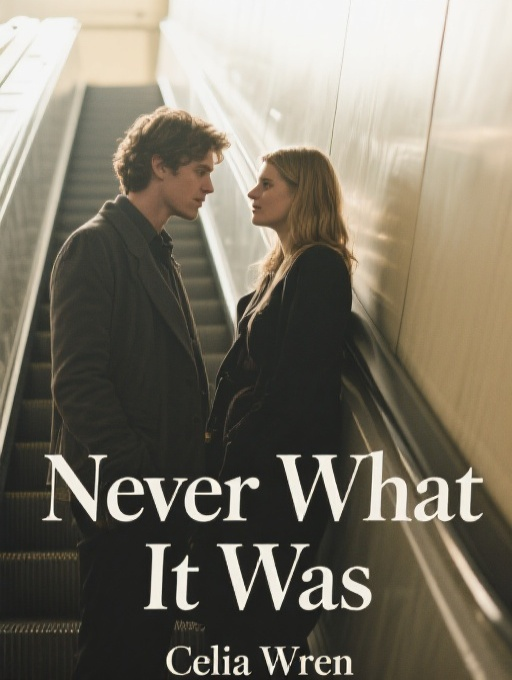 Never What It Was