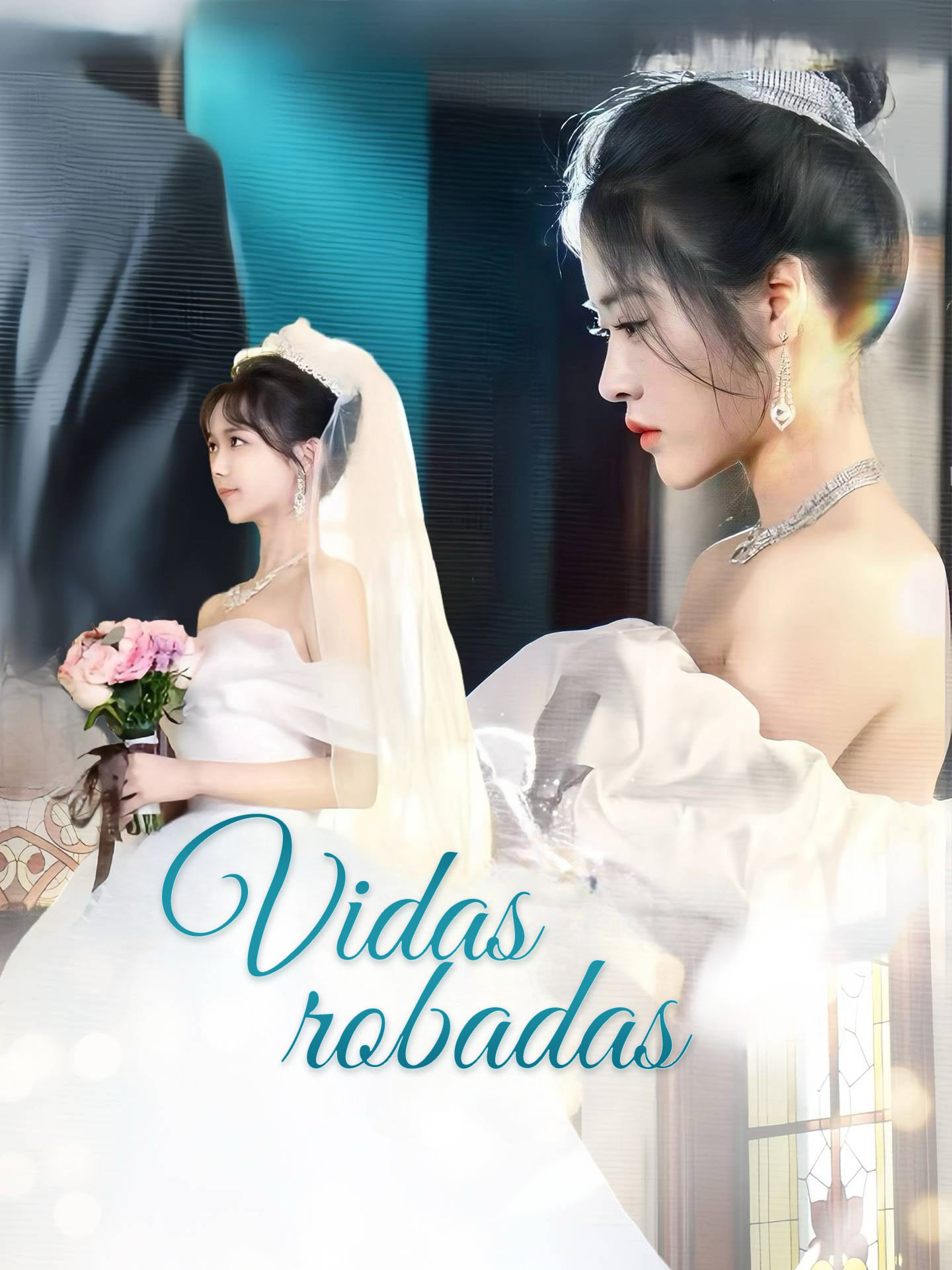 Vidas robadas