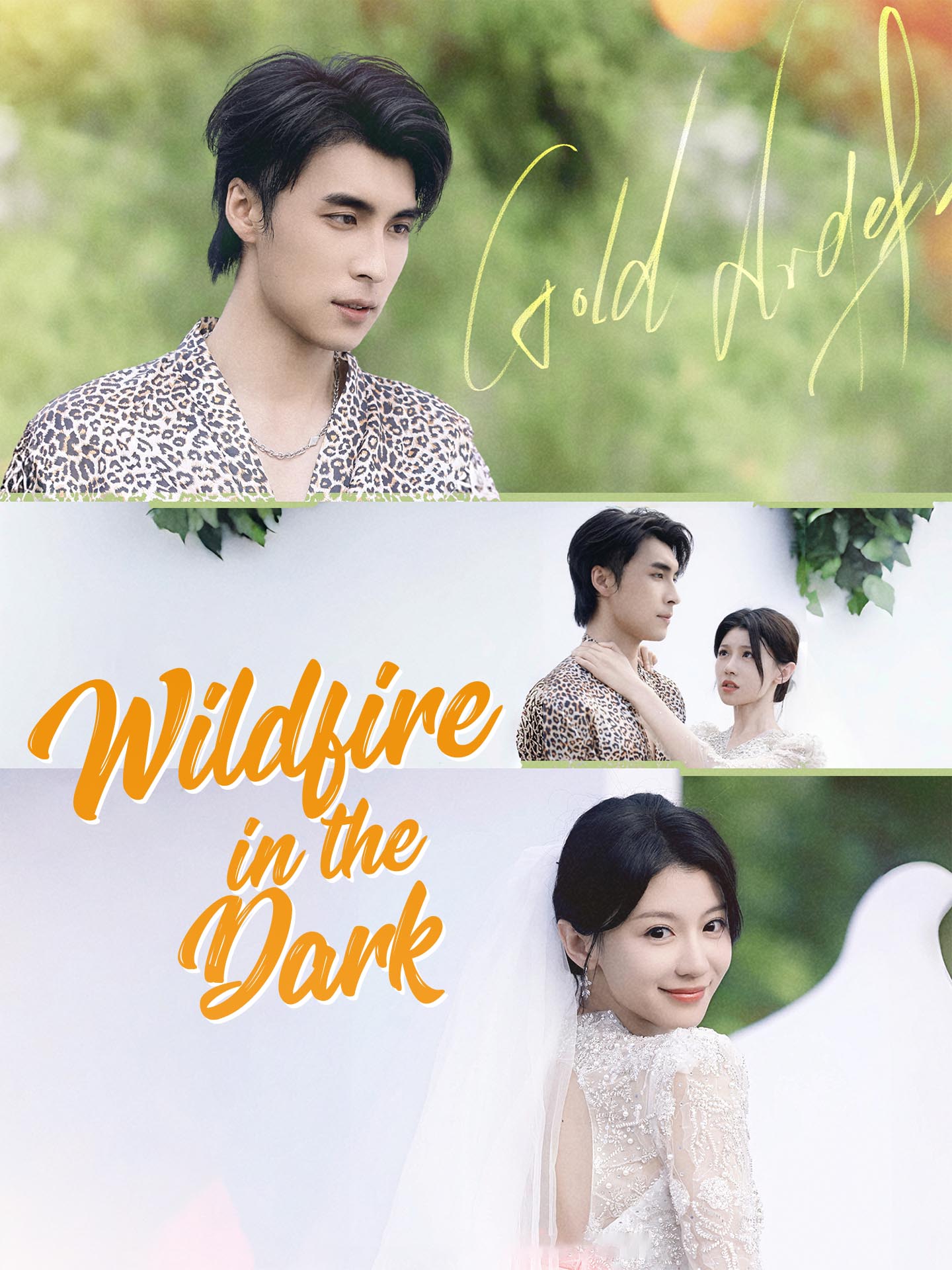 Wildfire in the Dark
